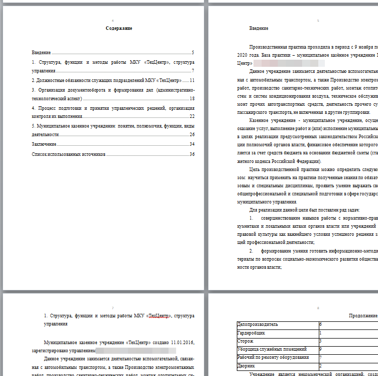 Отчет по практике: Менеджмент организации и управление трудовыми ресурсами