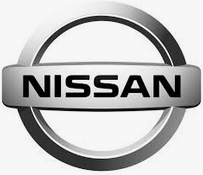 Nissan МЭБИК Оценка финансовых рисков