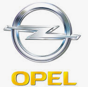 Opel МЭБИК Оценка финансовых рисков