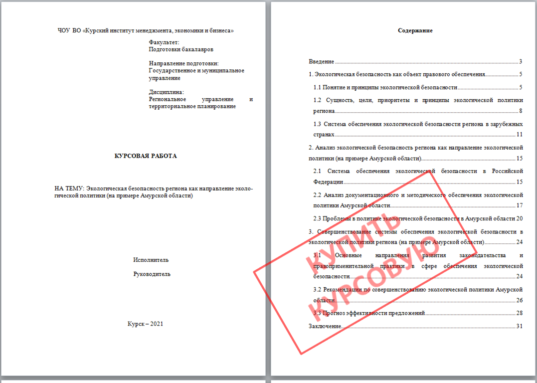 Курсовая работа МЭБИК 82. Экологическая безопасность региона как направление экологической политики
